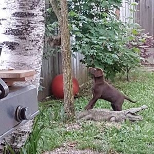 Meet your Posher, Charles